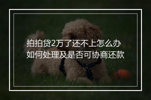 拍拍贷2万了还不上怎么办如何处理及是否可协商还款