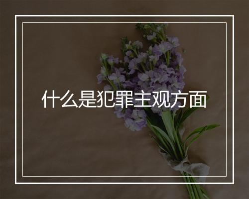 什么是犯罪主观方面