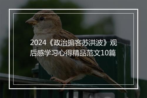 2024《政治掮客苏洪波》观后感学习心得精品范文10篇