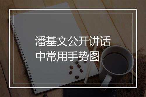 潘基文公开讲话中常用手势图