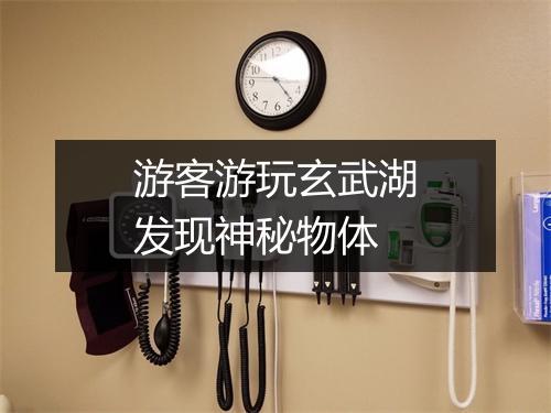游客游玩玄武湖发现神秘物体