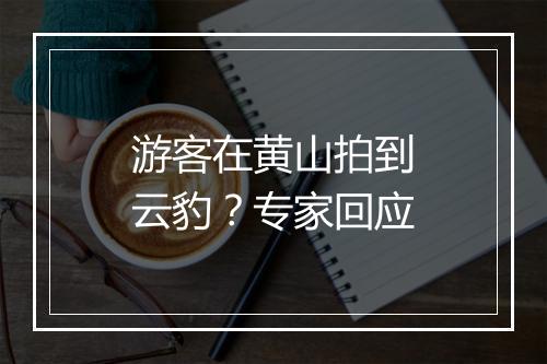 游客在黄山拍到云豹？专家回应