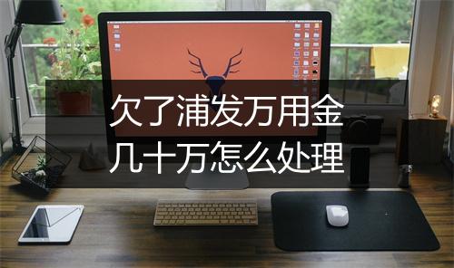 欠了浦发万用金几十万怎么处理