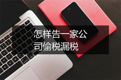 怎样告一家公司偷税漏税
