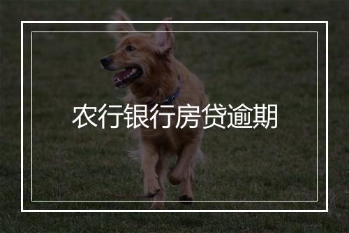 农行银行房贷逾期