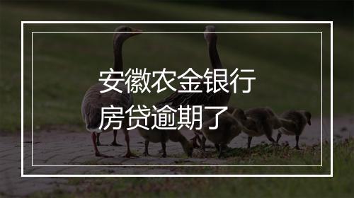 安徽农金银行房贷逾期了