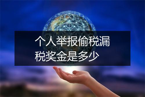 个人举报偷税漏税奖金是多少