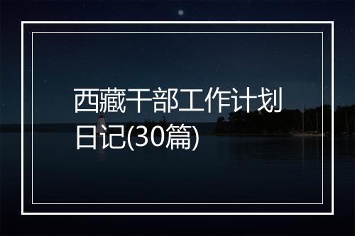 西藏干部工作计划日记(30篇)