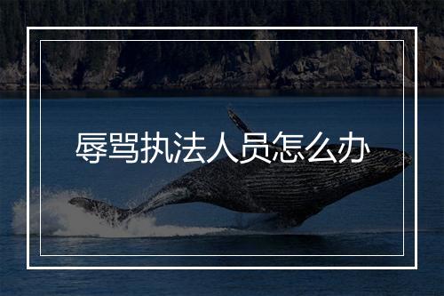 辱骂执法人员怎么办