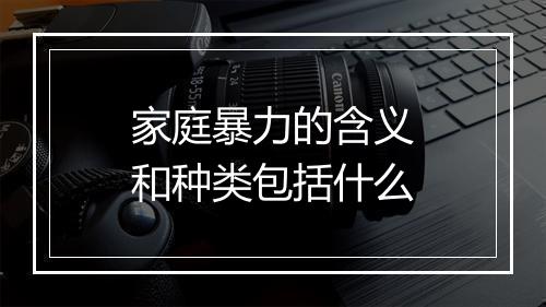 家庭暴力的含义和种类包括什么