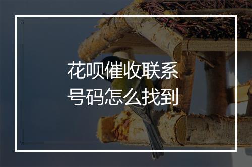 花呗催收联系 号码怎么找到