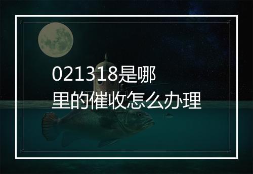 021318是哪里的催收怎么办理