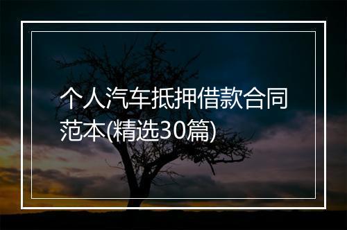 个人汽车抵押借款合同范本(精选30篇)