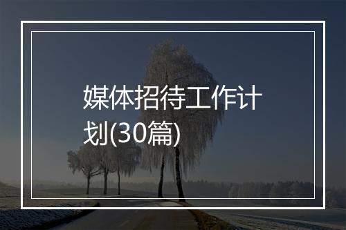 媒体招待工作计划(30篇)