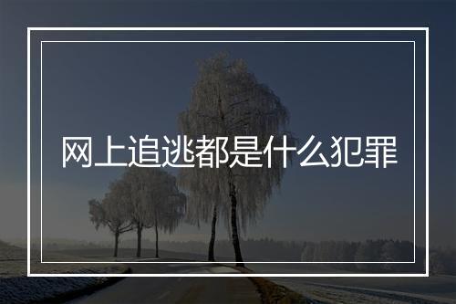 网上追逃都是什么犯罪