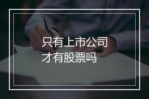 只有上市公司才有股票吗