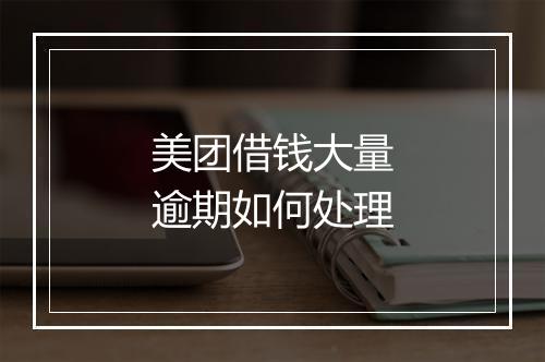 美团借钱大量逾期如何处理