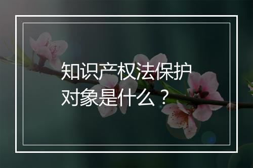 知识产权法保护对象是什么？