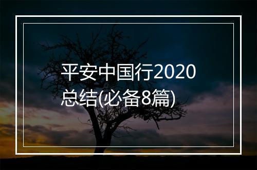 平安中国行2020总结(必备8篇)