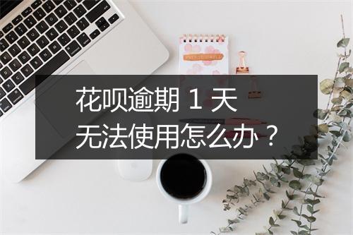 花呗逾期 1 天无法使用怎么办？