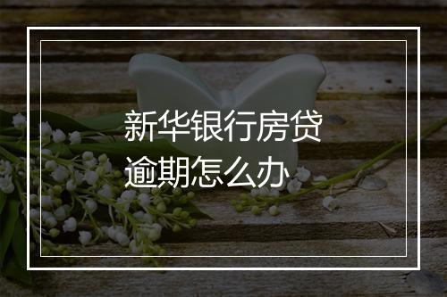 新华银行房贷逾期怎么办