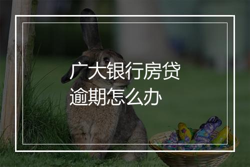 广大银行房贷逾期怎么办