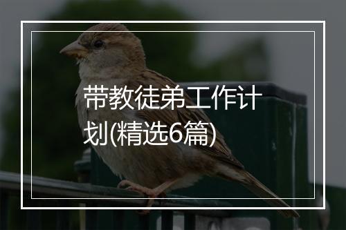 带教徒弟工作计划(精选6篇)