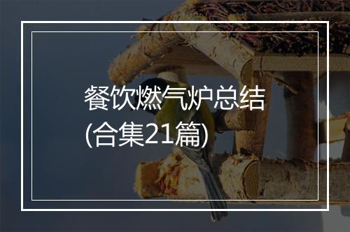 餐饮燃气炉总结(合集21篇)