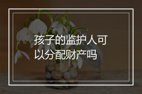 孩子的监护人可以分配财产吗