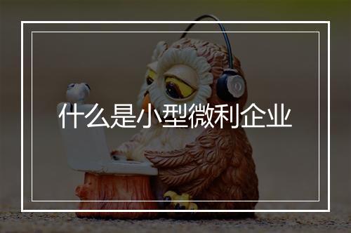 什么是小型微利企业