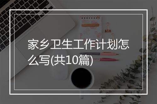 家乡卫生工作计划怎么写(共10篇)