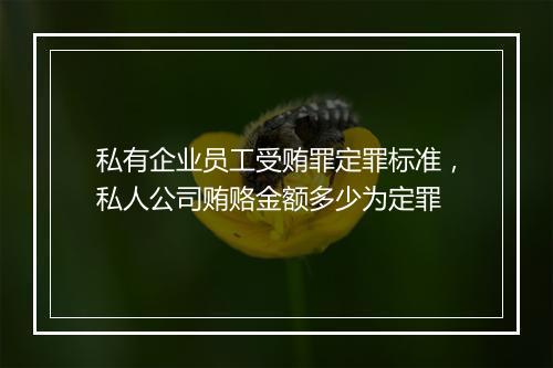 私有企业员工受贿罪定罪标准，私人公司贿赂金额多少为定罪