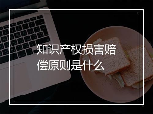知识产权损害赔偿原则是什么