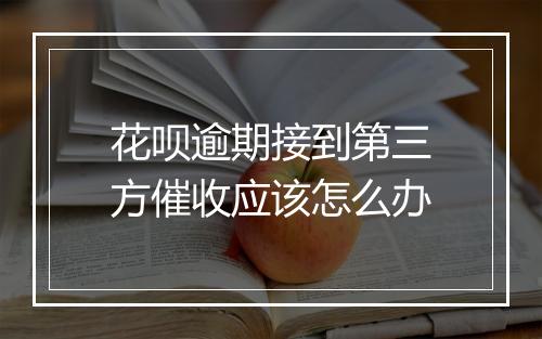 花呗逾期接到第三方催收应该怎么办