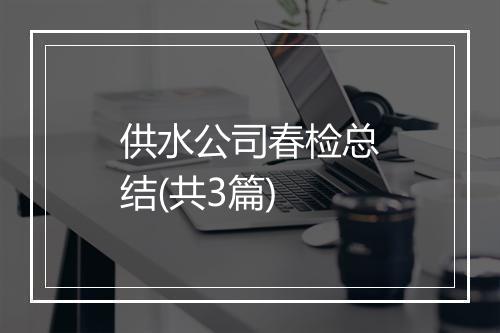 供水公司春检总结(共3篇)