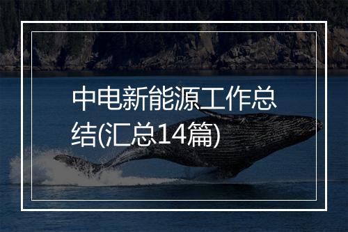 中电新能源工作总结(汇总14篇)