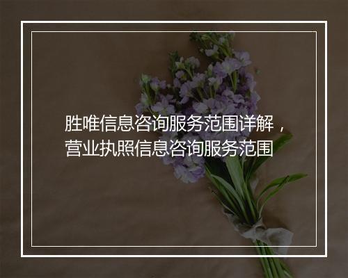 胜唯信息咨询服务范围详解，营业执照信息咨询服务范围
