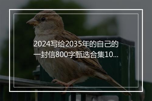 2024写给2035年的自己的一封信800字甄选合集10篇