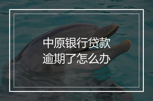 中原银行贷款逾期了怎么办