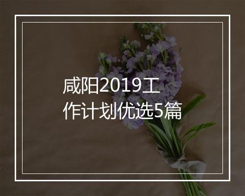 咸阳2019工作计划优选5篇