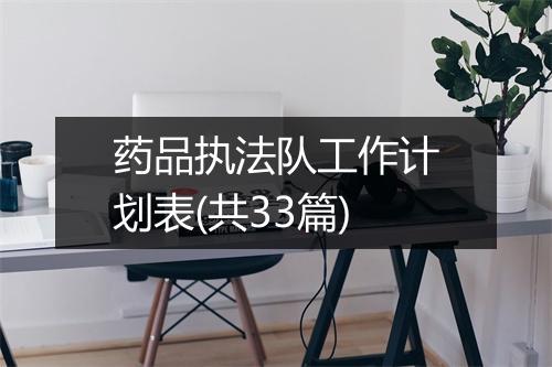 药品执法队工作计划表(共33篇)