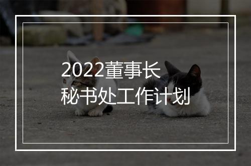 2022董事长秘书处工作计划