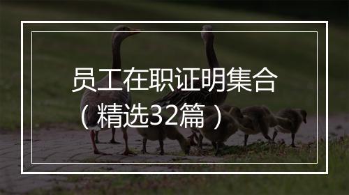 员工在职证明集合（精选32篇）