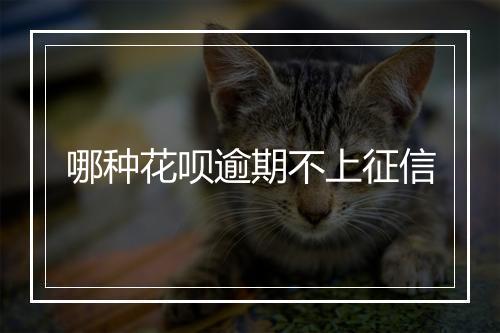 哪种花呗逾期不上征信