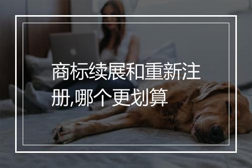 商标续展和重新注册,哪个更划算