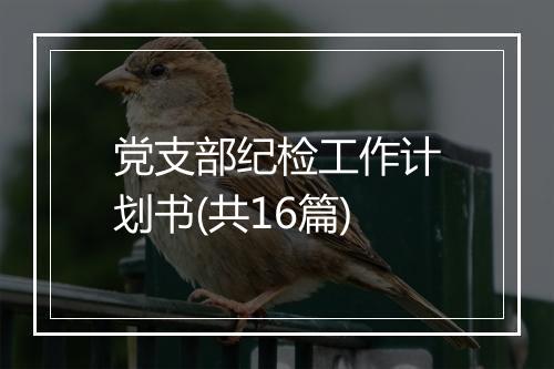 党支部纪检工作计划书(共16篇)