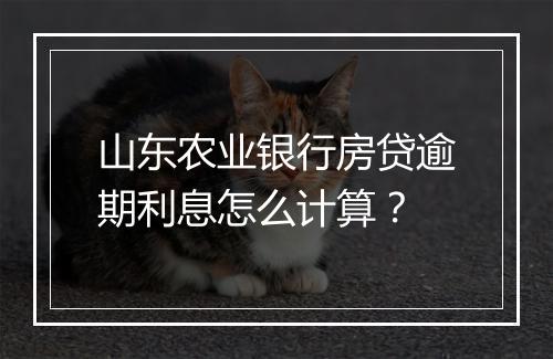 山东农业银行房贷逾期利息怎么计算？