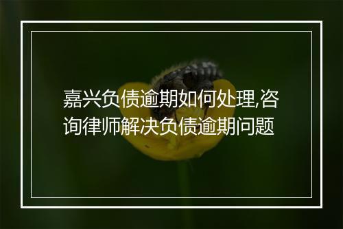 嘉兴负债逾期如何处理,咨询律师解决负债逾期问题