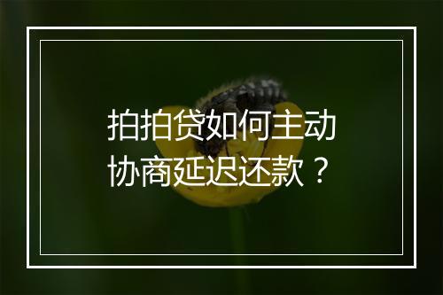 拍拍贷如何主动协商延迟还款？