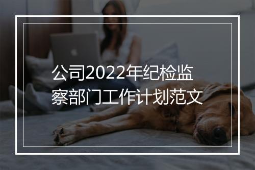 公司2022年纪检监察部门工作计划范文